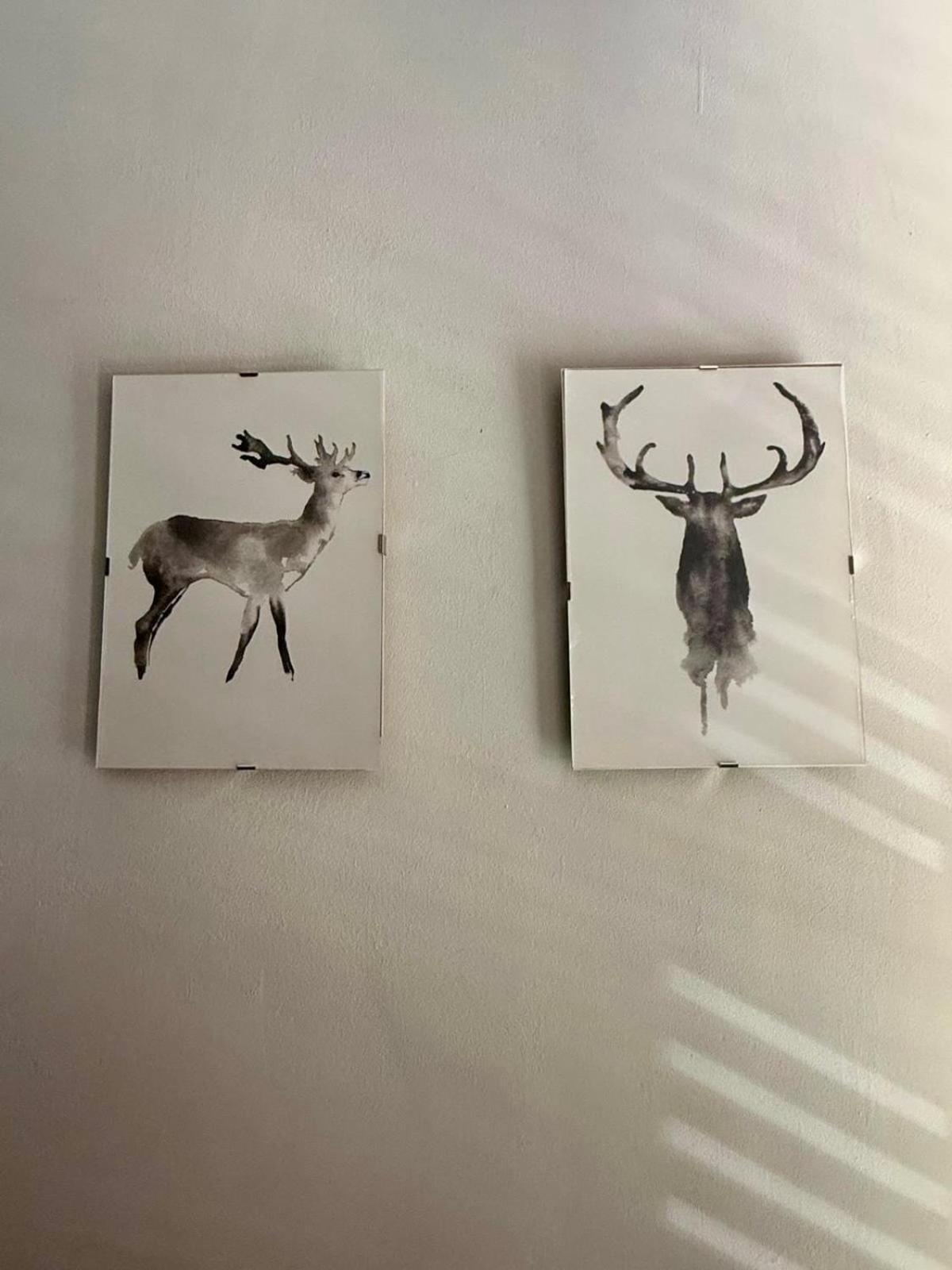 A&S Chalet Delle Alpi Bardonecchia Dış mekan fotoğraf